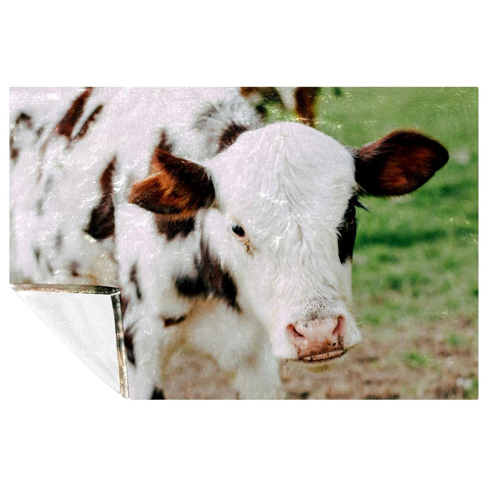 Couverture douce chaude motif vache, véritable cocon de tendresse et de réconfort au quotidien