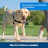 Ver la foto 4