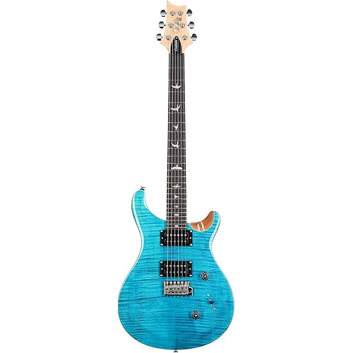 PRS SE Custom 24 Exclusive, Blue Matteo Natural Back