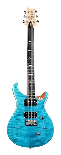 PRS SE Custom 24 Exclusive, Blue Matteo Natural Back