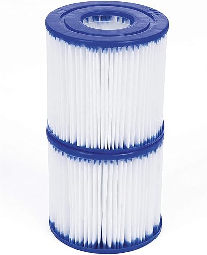 Bestway Cartucho de filtro de piscina Spirit para exteriores tipo D