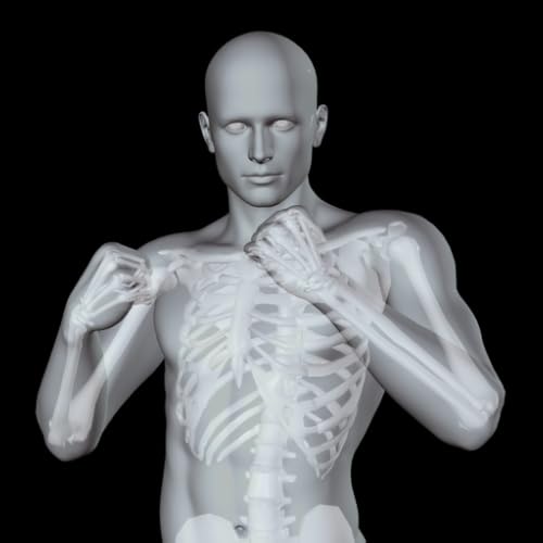 360° Anatomy for Artists: Male Figure