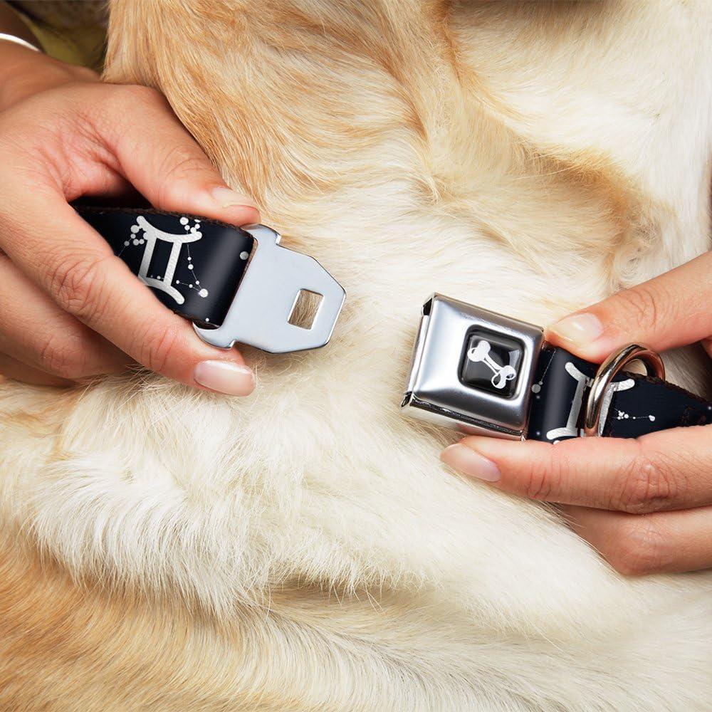 Dog Collar Seatbelt Buckle Zodiac Gemini Symbol Constellations Black White 11 to 17 Inches 1.0 Inch Wide