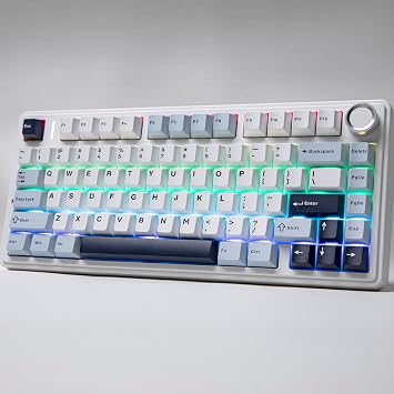 MechLands Aula F75 PRO 75% Gaming Keyboard with 70 Pieces Matcha Latte V2 Linear Switches