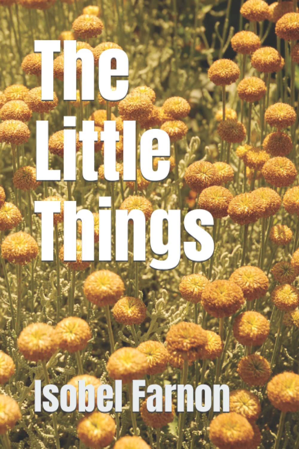 The Little Things