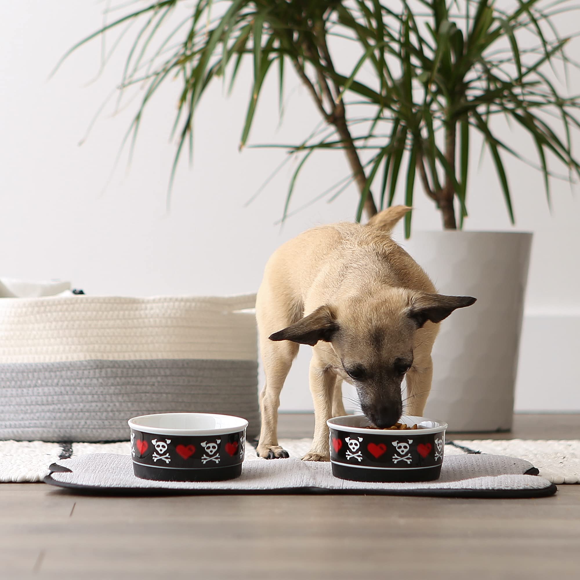 Bone Dry Ceramic Pet Collection, kleines Set, 10 x 5 cm, Bad to The Bone, 2 Stück