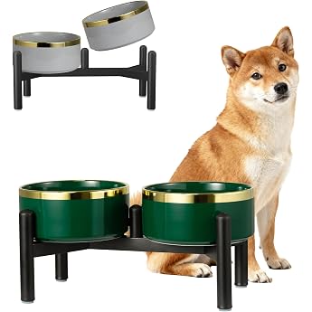 Ceramic Dog Bowl Raised with Stainless Steel Stand - Double Bowl Feeding Station for Small and Medium Dogs - Non-Slip Dog Bowl Set for Food and Water - 350 g / 660 ml - 15 cm - Green