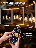 Vista 2 de addlon Tira de luces inteligentes para exteriores de 48 pies con control remoto, luces de patio regulables con 15 bombillas LED Edison impermeables