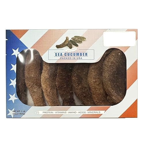 Miniatura 35 de DOL Wild Alaska Red Sea Pepino 9-12pcs 7-9 años 9-12 (pepino de mar seco)- en caja grande 8oz/caja