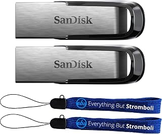 SanDisk USB 3.0 Flash Drive 512GB (2 Pack) Ultra Flair Thumb Drive Up to 150 MB/s Read Speed (SDCZ73-512G-G46) Bundle with (2) Everything But Stromboli Lanyards