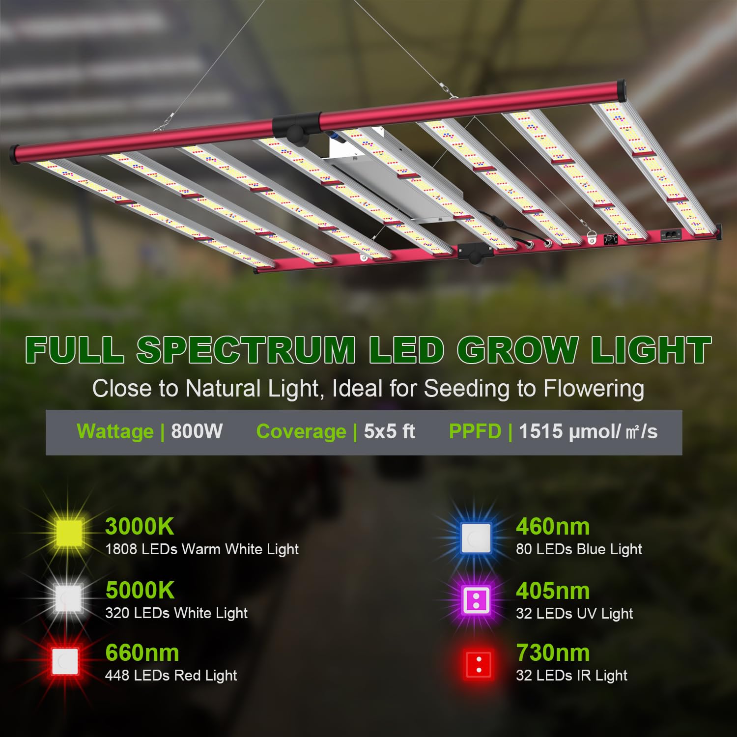 AGLEX 800W Luces de Cultivo, LED Grow Light Luz de Espectro Completo con UV IR, Enlace en Cadena Daisy, Estilo de Barra de Luz de Plantas Plegable y Regulable, Cobertura Central 6x6 pies