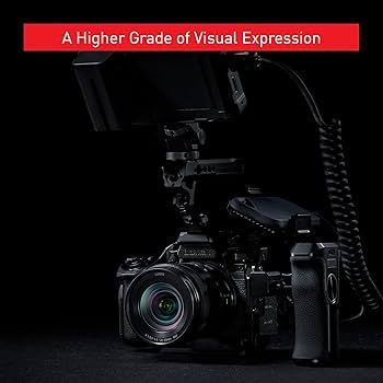 Amazon.com : Panasonic LUMIX S5IIX Mirrorless Camera, 24.2MP