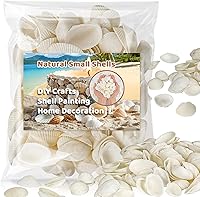 MAQIHAN Small White Seashells Bulk for Crafts - Natural Clam Shells 0.8-1.2in, Tiny Seashells for DIY, Vase Filler, Beach Wedding Decor (90g, 60-90pcs)