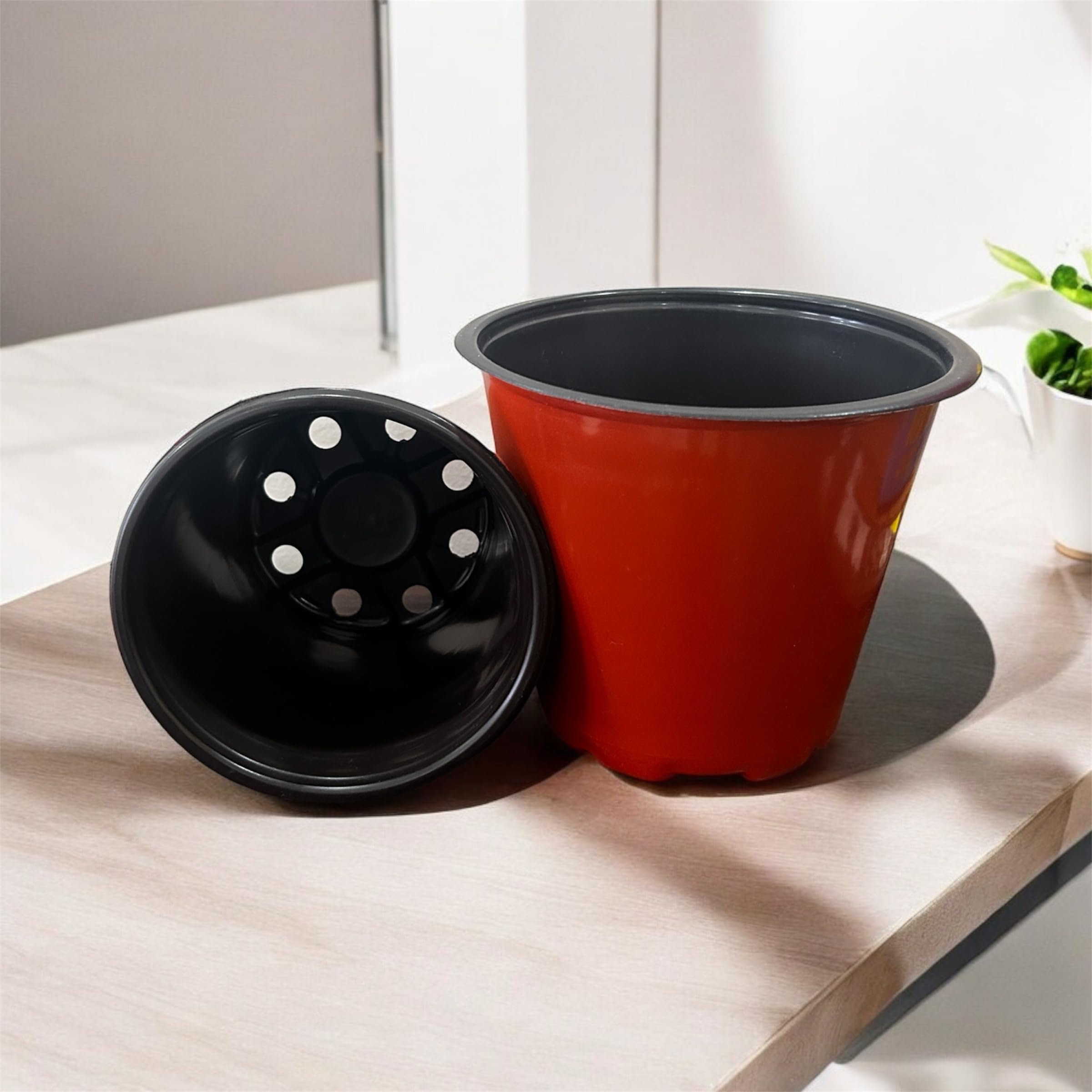 Saplings World Thermoformed Plastic Pots (6 Inch Size - Pack of 10) | Terracotta Colour | Unbreakable | Multiple Holes for Better Drainage |Best for Indoor & Outdoor Plants (B0CM4M4WSM) Amazon Price History, Amazon Price Tracker