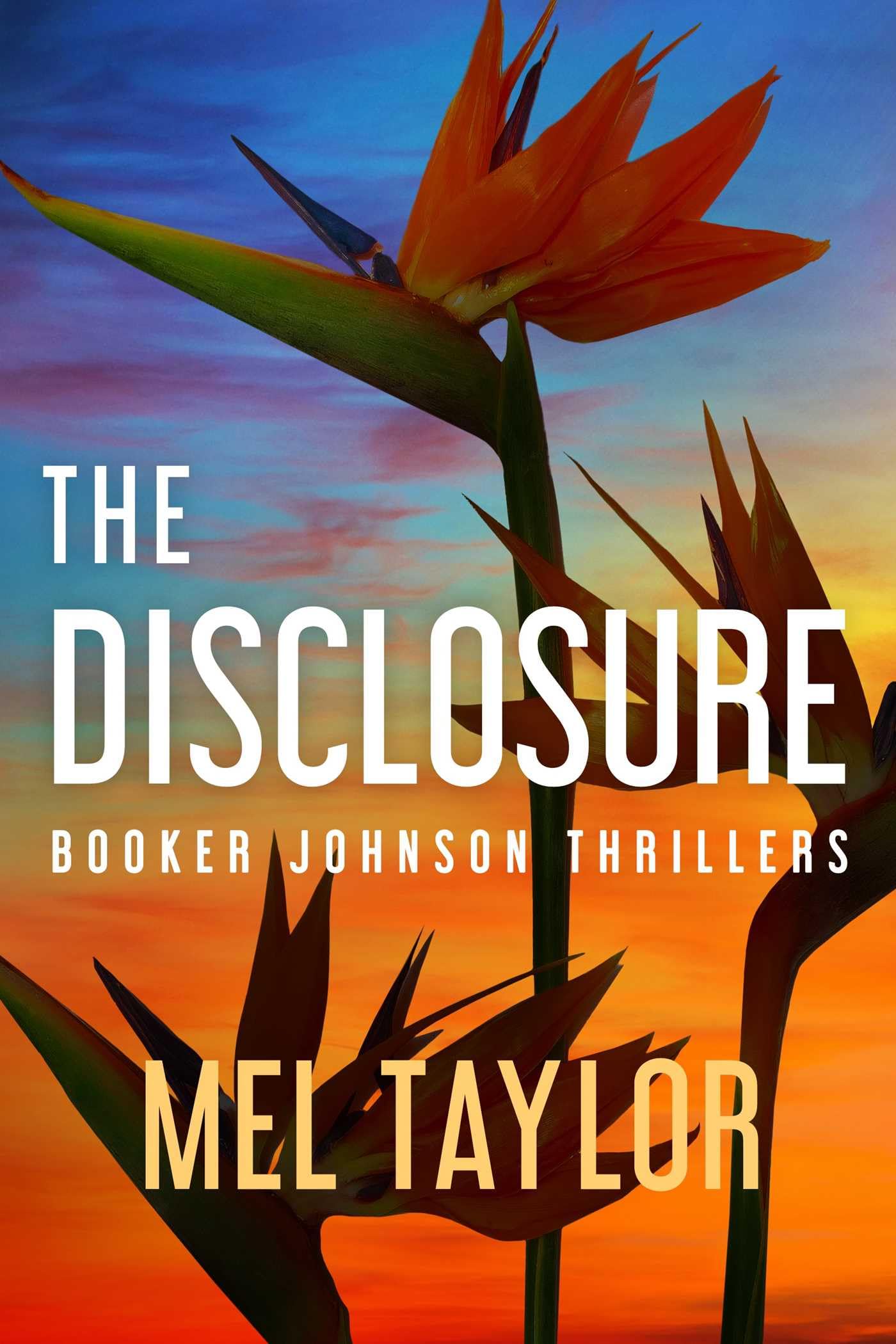 Buy The Disclosure: 3 (Booker Johnson Thrillers) — BookShops.in