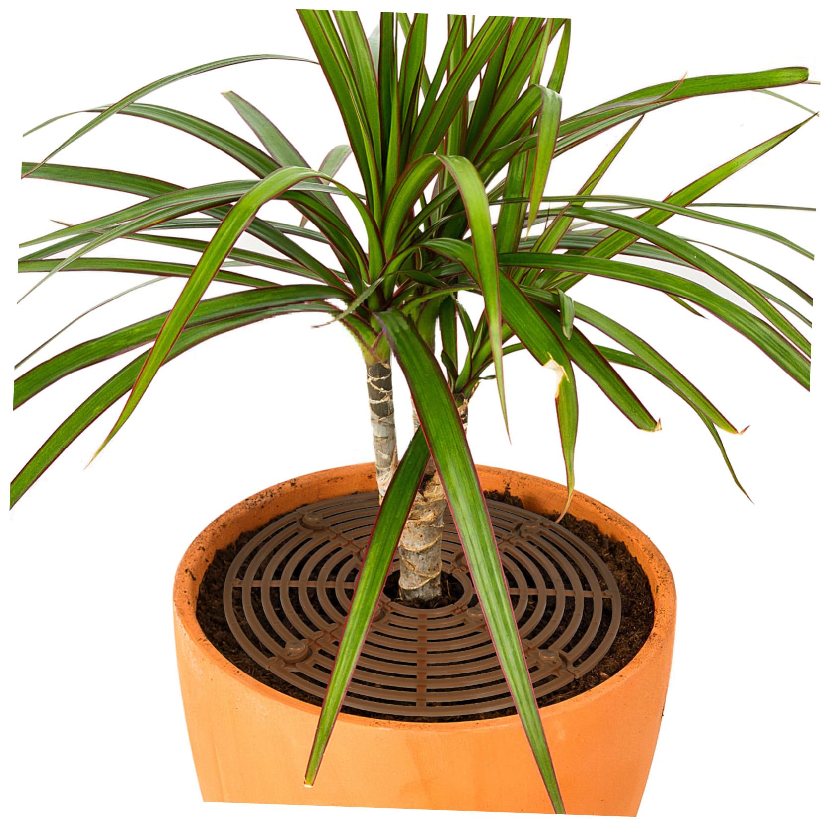 Café 2 Pièces Protection pour Pot de Fleurs en Plastique Facile à Installer