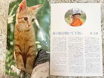 71mosTHpfBL._AC_UF350, 71mosTHpfBL._AC_UF350,