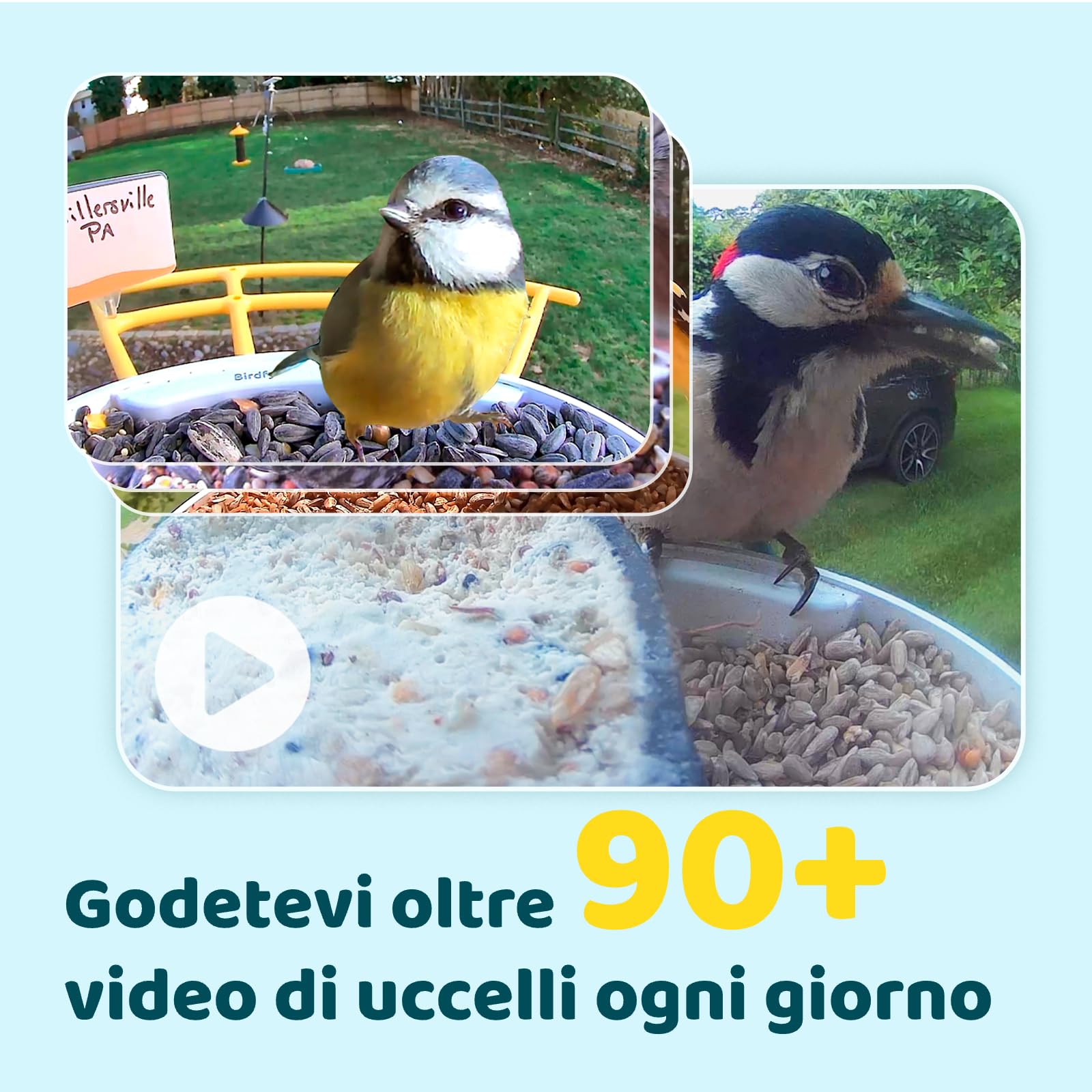NETVUE Birdfy Pro Lite Vogelhaus mit Kamera, Vogelfutterstation mit Kamera & DIY Multifunktionsständer, Futterstationen für Wildvögel, Vogelfutterspender mit Meisenknödelhalter, Wasser/Gelee Feeder