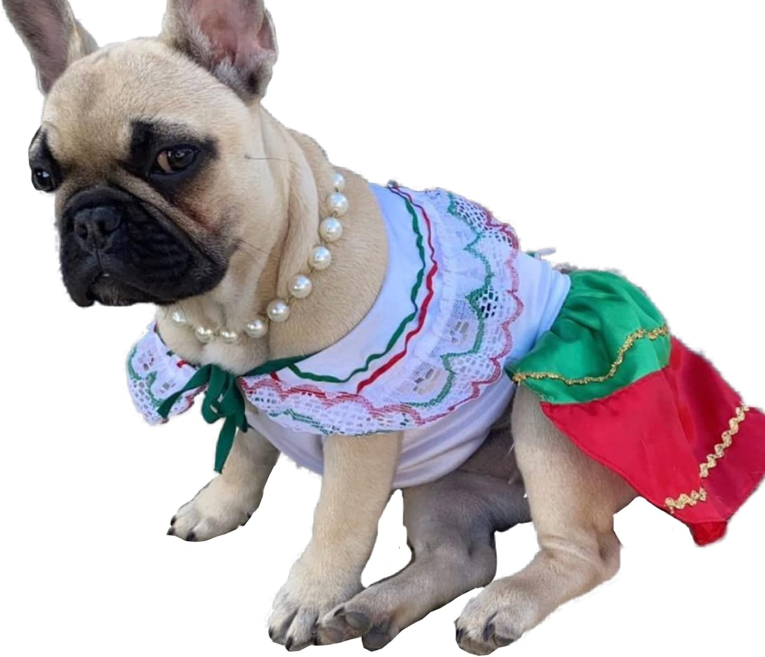 China Poblana dog dress (M)