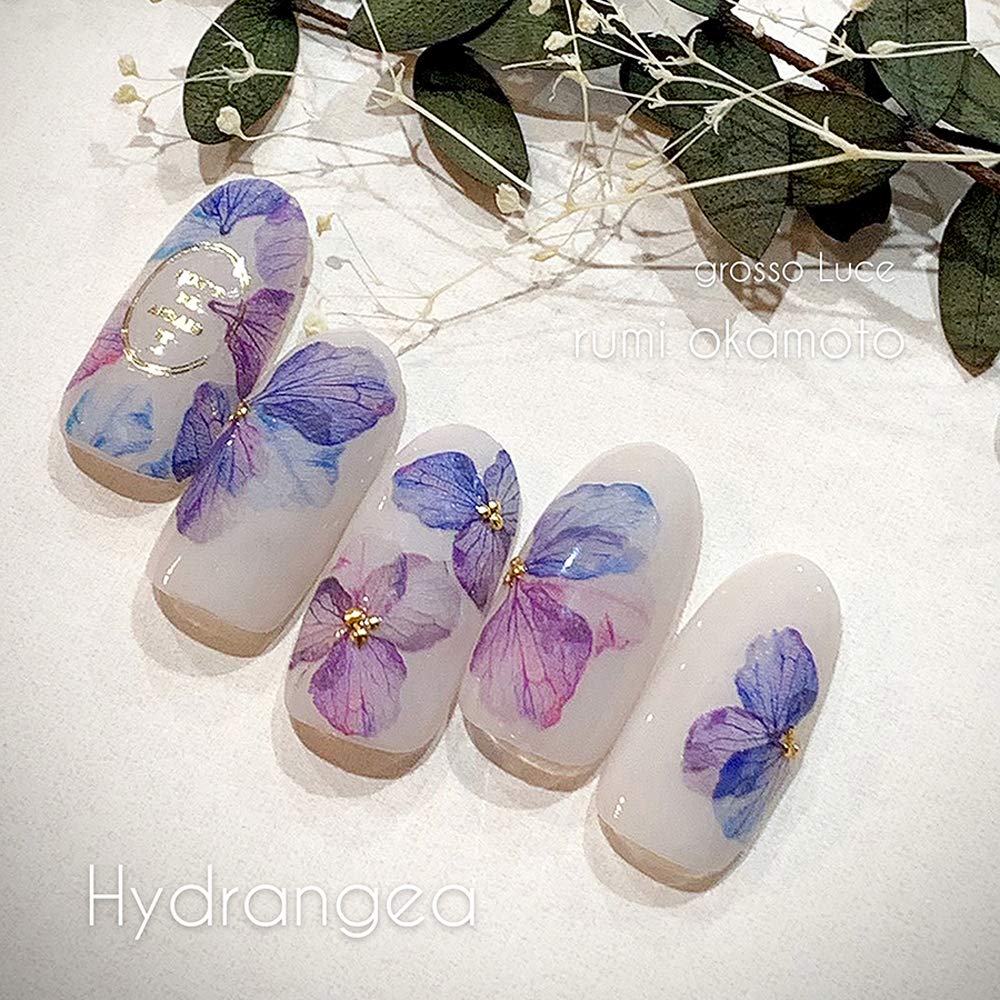Amazon | Sha-Nail Pro ハイドランジア | Sha-Nail pro(写ネイル プロ