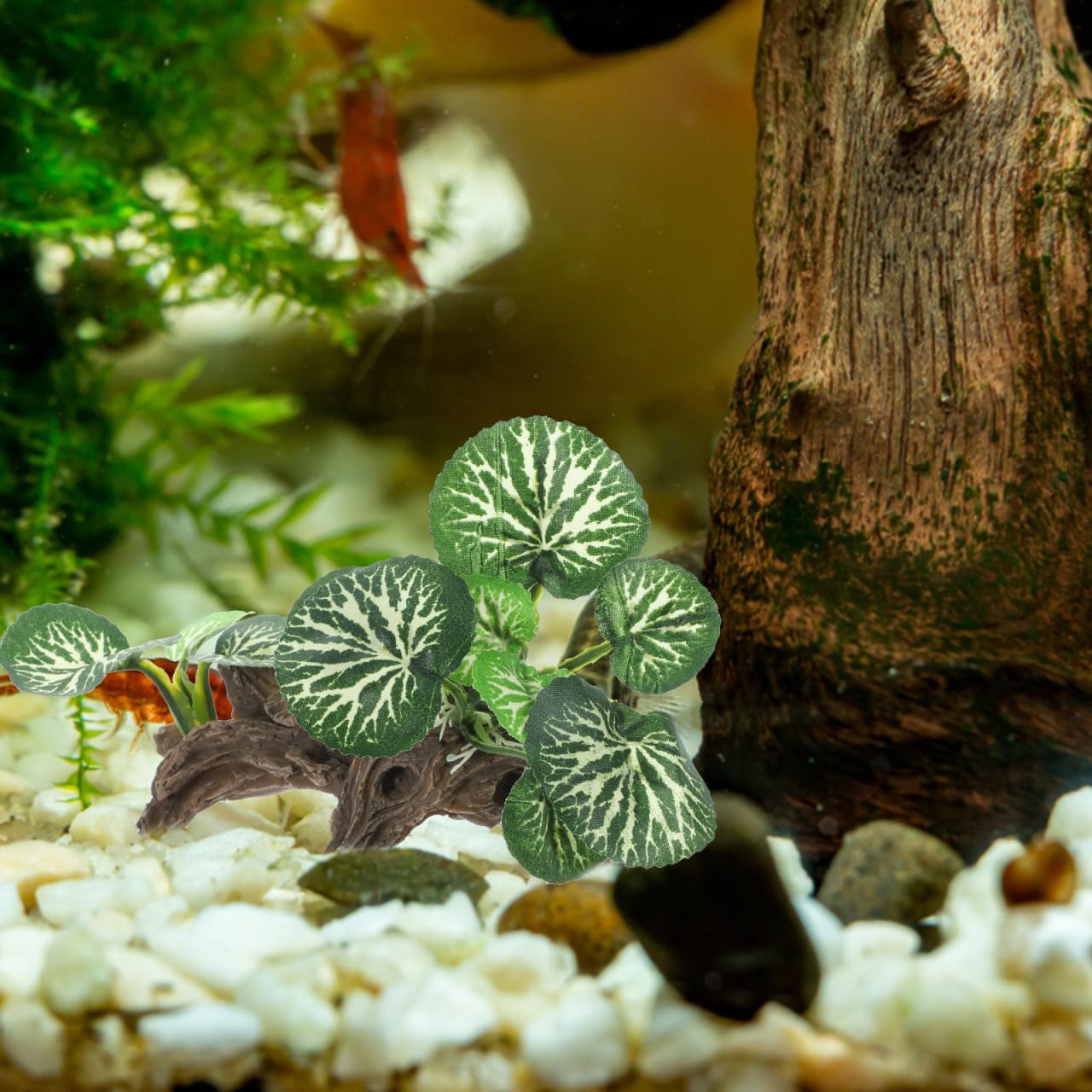 Angoily Aquarium Fake Plant Decoration Lifelike Rainforest Plant Ornament for Fish Tank and Reptile Terrarium Stress Relief Natural Habitat 3 Inch - Image 2