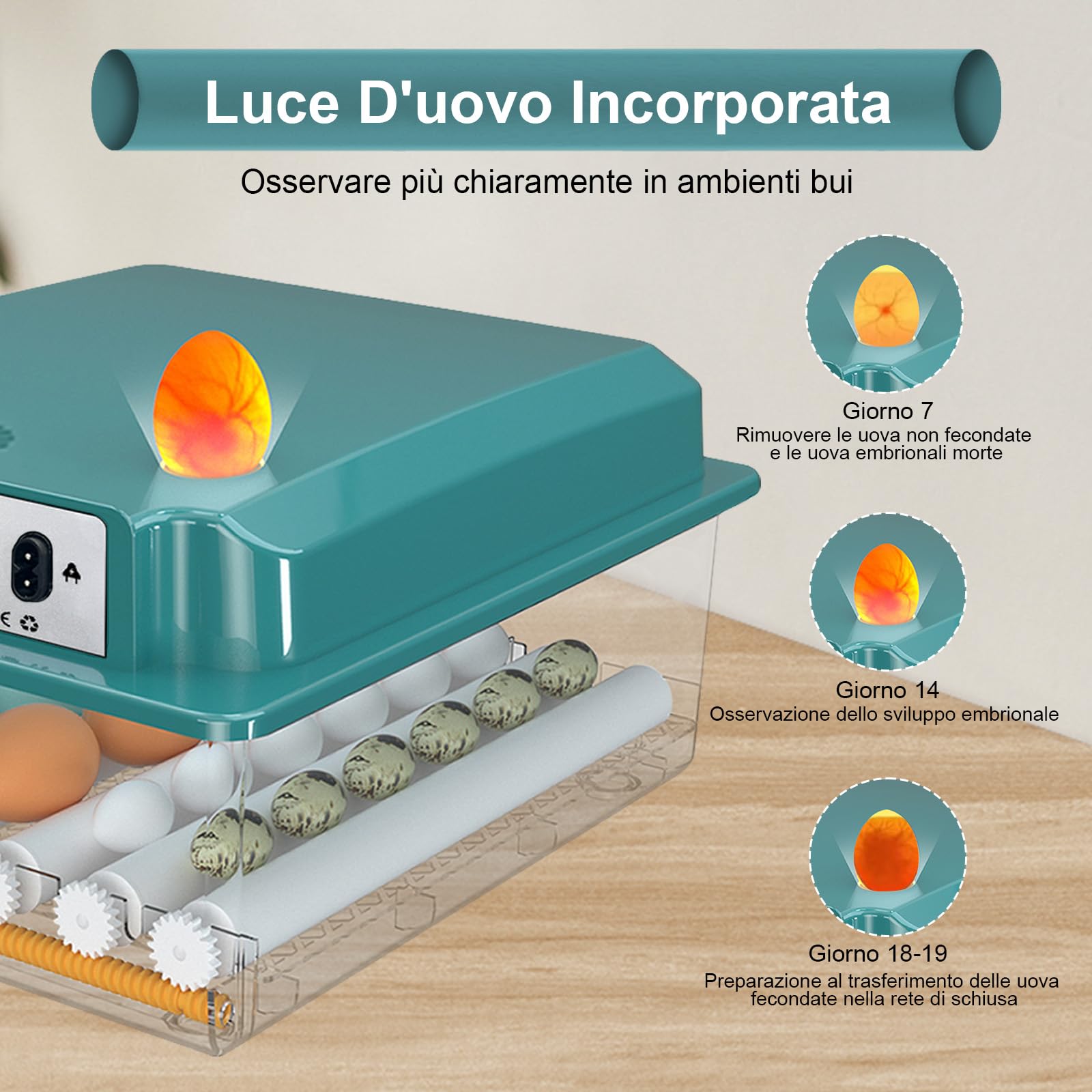 CoInceptus Incubatrice per Uova Automatica, Incubatrice da 12-16 Uova con Tornitura Automatica delle Uova e Umidificazione Automatica, Incubatrice per Uova di Gallina, Quaglia, Anatra