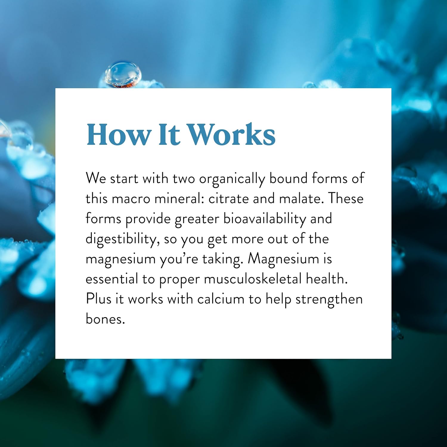 Nature's Sunshine Magnesium Complex 100 Capsules : Health & Household