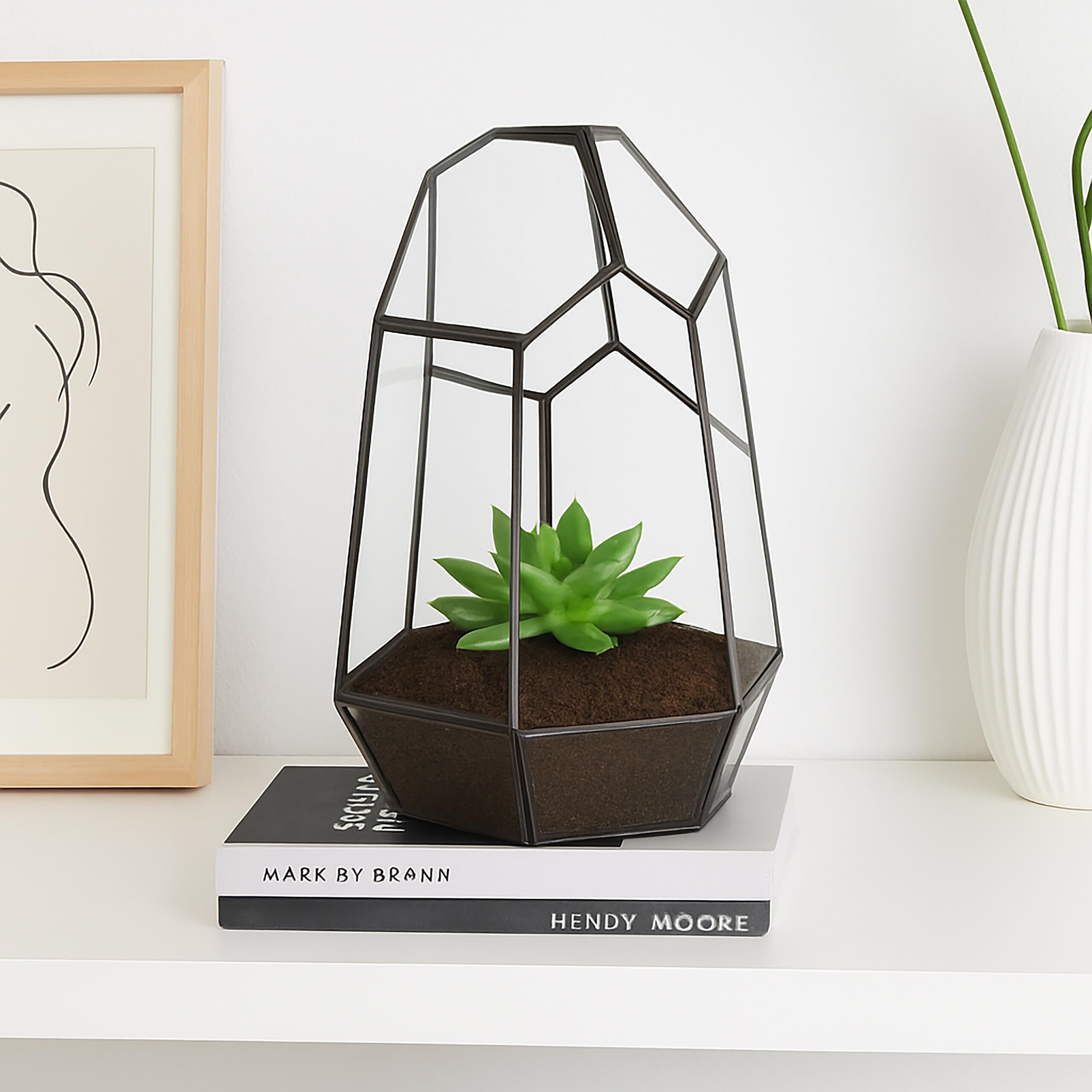 Relaxdays Terrarium Verre étain pour succulentes cactus, Noir