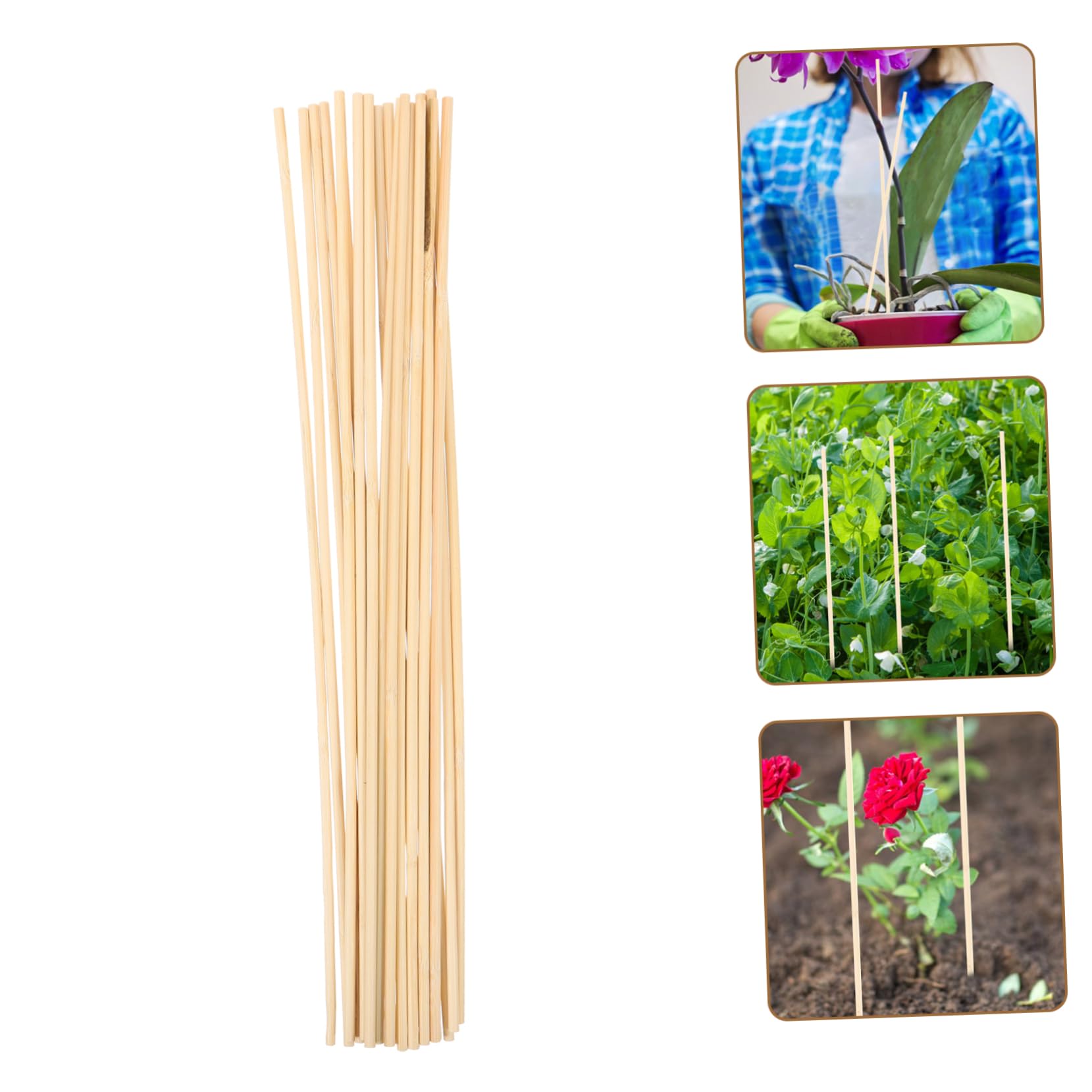 ifundom 3 Sätze Pfahlunterstützung Pflanzen Klettern Anlage Stand Zimmerpflanze Pflanze Steht Innen Kletterständer Für Weinreben Gartenbedarf Gartendekor Holz 20 Stück * 3