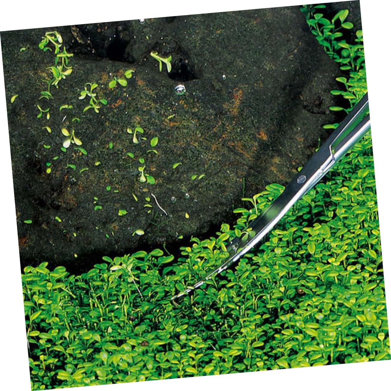 Kisangel 3stücke Edelstahl Gebogene Schere Für Aquarienpflanzen Präzise Pflanzenschneider Mit Ergonomischem Design Für Aquascaping Und Pflege Von Wasserpflanzen