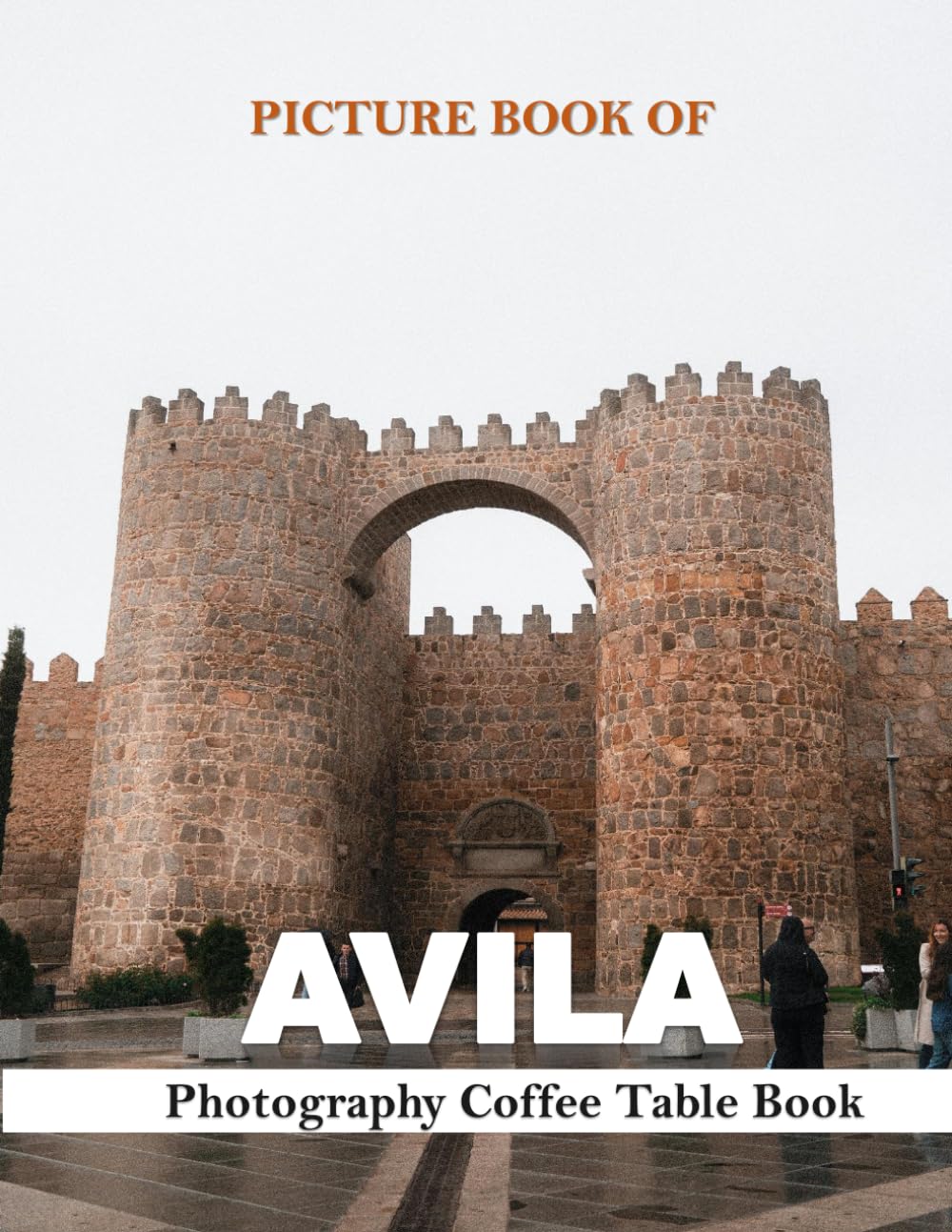 AVILA SPAIN: Wonderful pictures that give you an idea of an amazing country, the style of buildings, castles, etc., for all travel lovers.