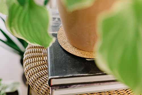 Miniatura 6 de MC-600 Tapete de corcho para plantas (6 pulgadas de diámetro, corcho, paquete de 5)  Posavasos redondos de corcho para plantas, uso como maceta,