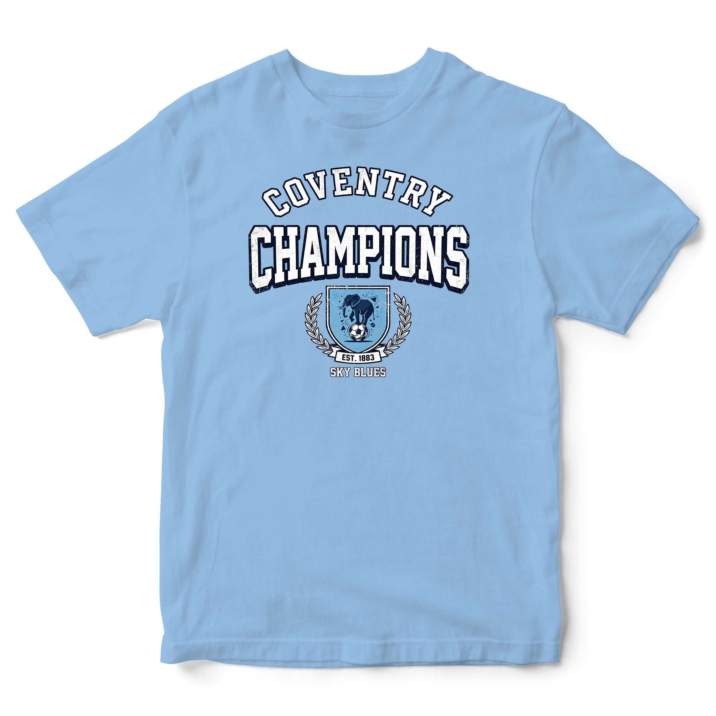 Coventry Champions Sky Blues Kids T Shirt - Cov Support Kids Tshirt Football Fan Tee Youth Champion Top, 1-2 Years, Sky Blue
