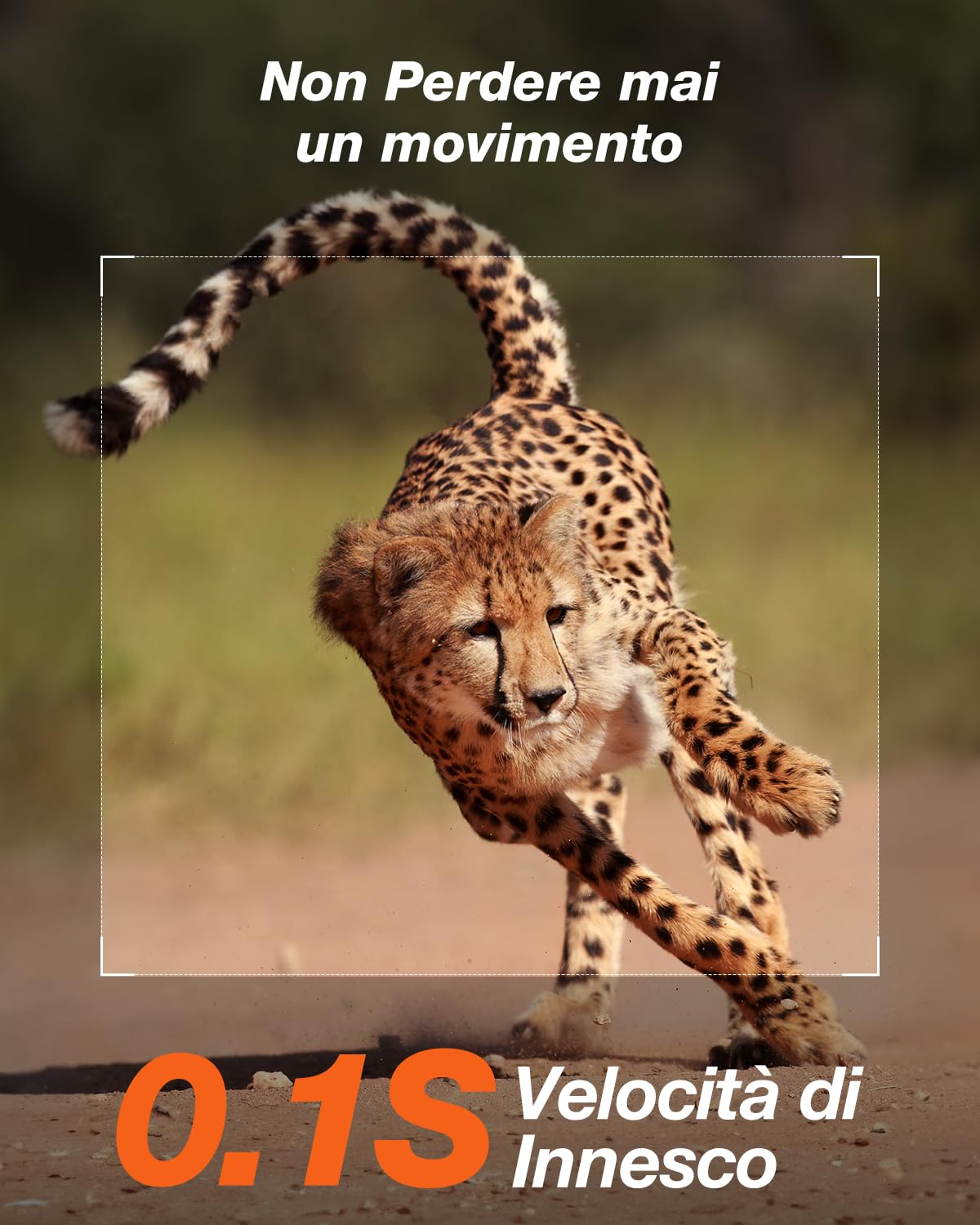 iZEEKER Fototrappola Solare 4K 30fps 48MP, Fototrappola Infrarossi con LED 850nm Batteria da 2600 mAh Impermeabile IP66, Senza Wi-Fi, Schermo LCD da 2,0" per la Sorveglianza della Fauna Selvatica
