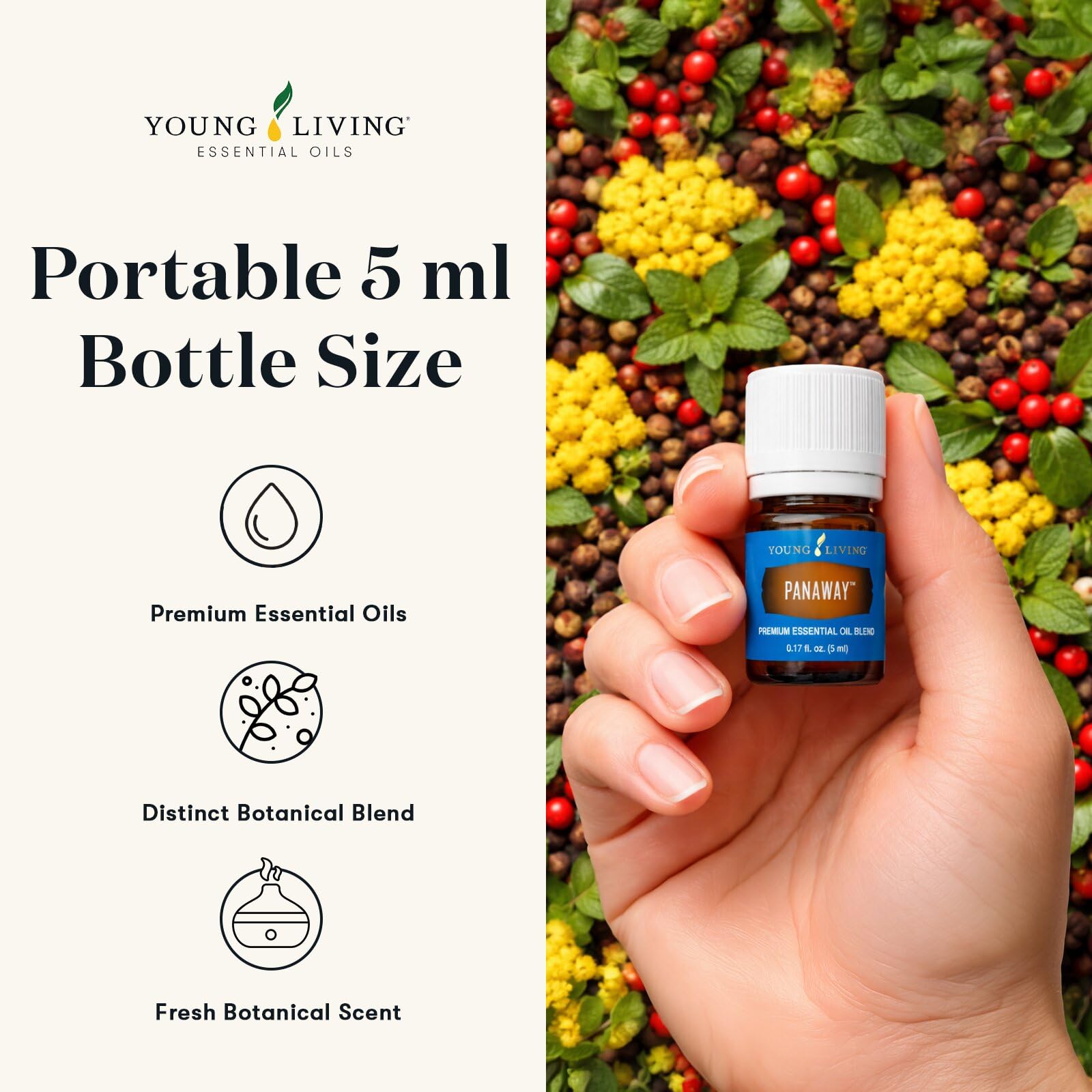 Amazon.com: Young Living PanAway Essential Oil Blend | 5 ml