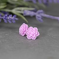 Vista 15 de Aretes hipoalergénicos de suculentas Pretty Smart para orejas sensibles