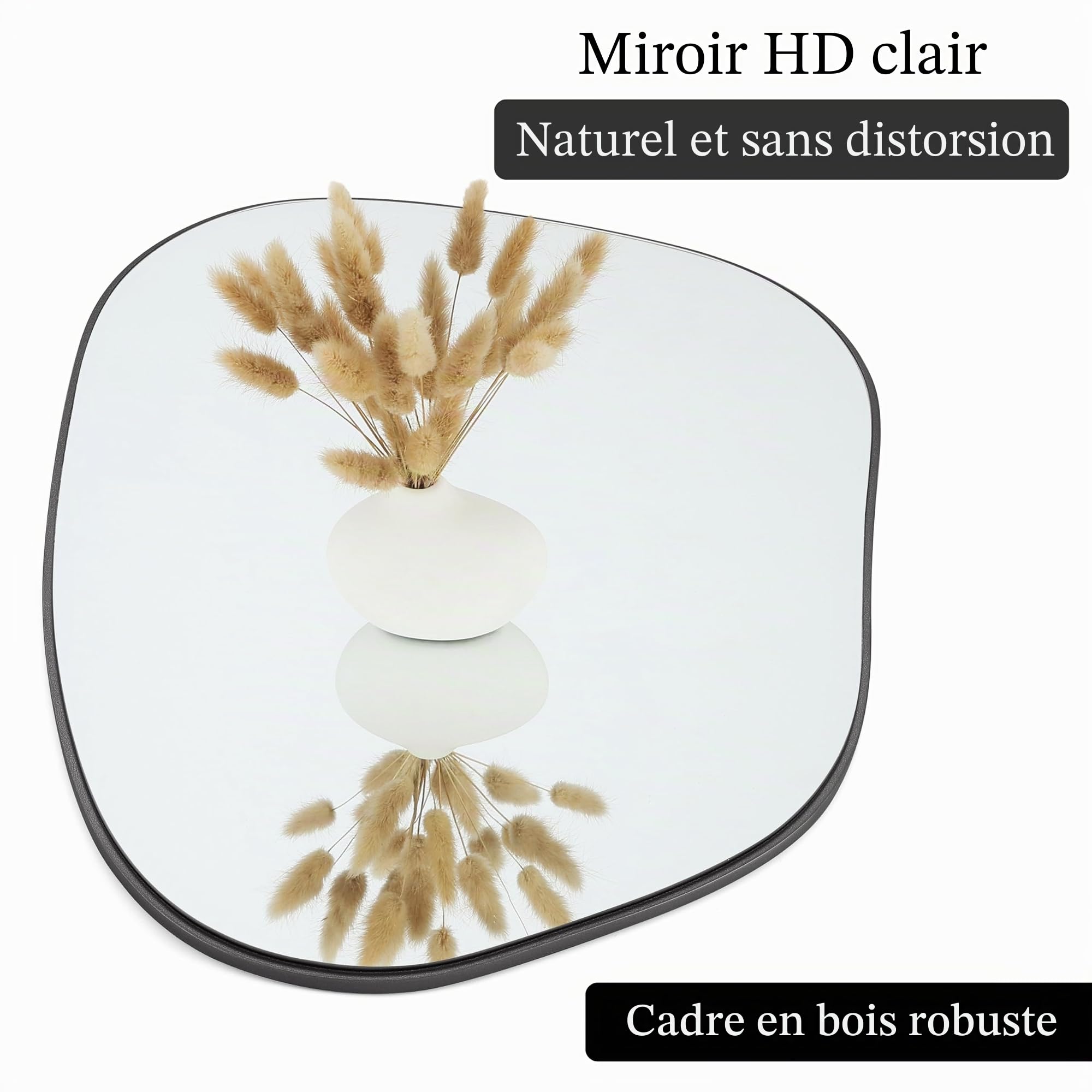 PERFNIQUE Miroir mural irrégulier, 68,6 x 48,3 cm, noir pour salle de bain, chambre à coucher, salon, entrée, décoration murale moderne, miroir mural (noir, 68,6 x 48,3 cm)