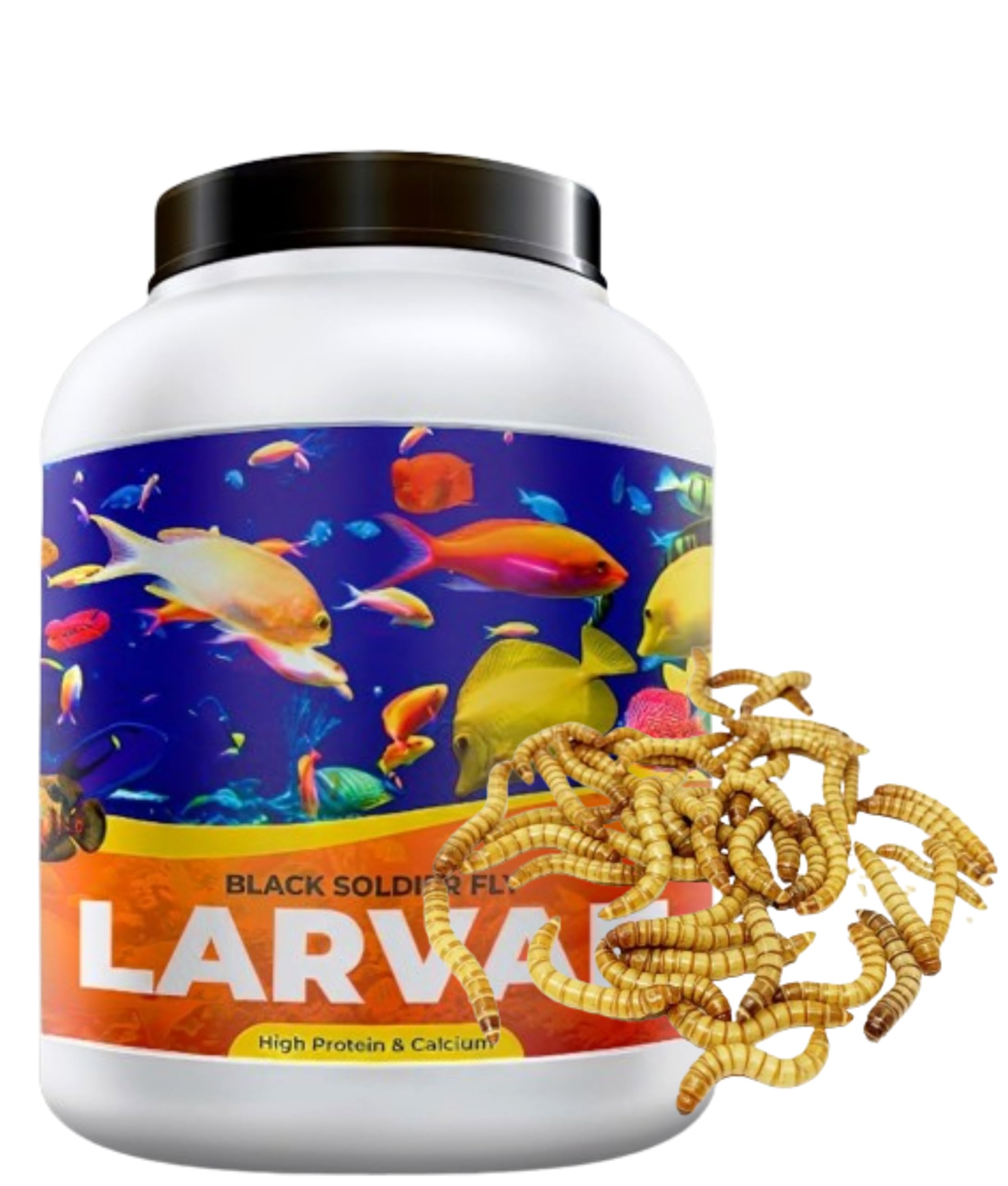 Nitishree® Black Soldier Fly Larvae Bsfl |100G| 60X More Calcium Than Meal Worms, 40% Protein Rich Fish Food for Oscar, Arowana, Flowerhorn, Adult Turtle, Tortoise (B0CTX7YKXN) Amazon Price History, Amazon Price Tracker