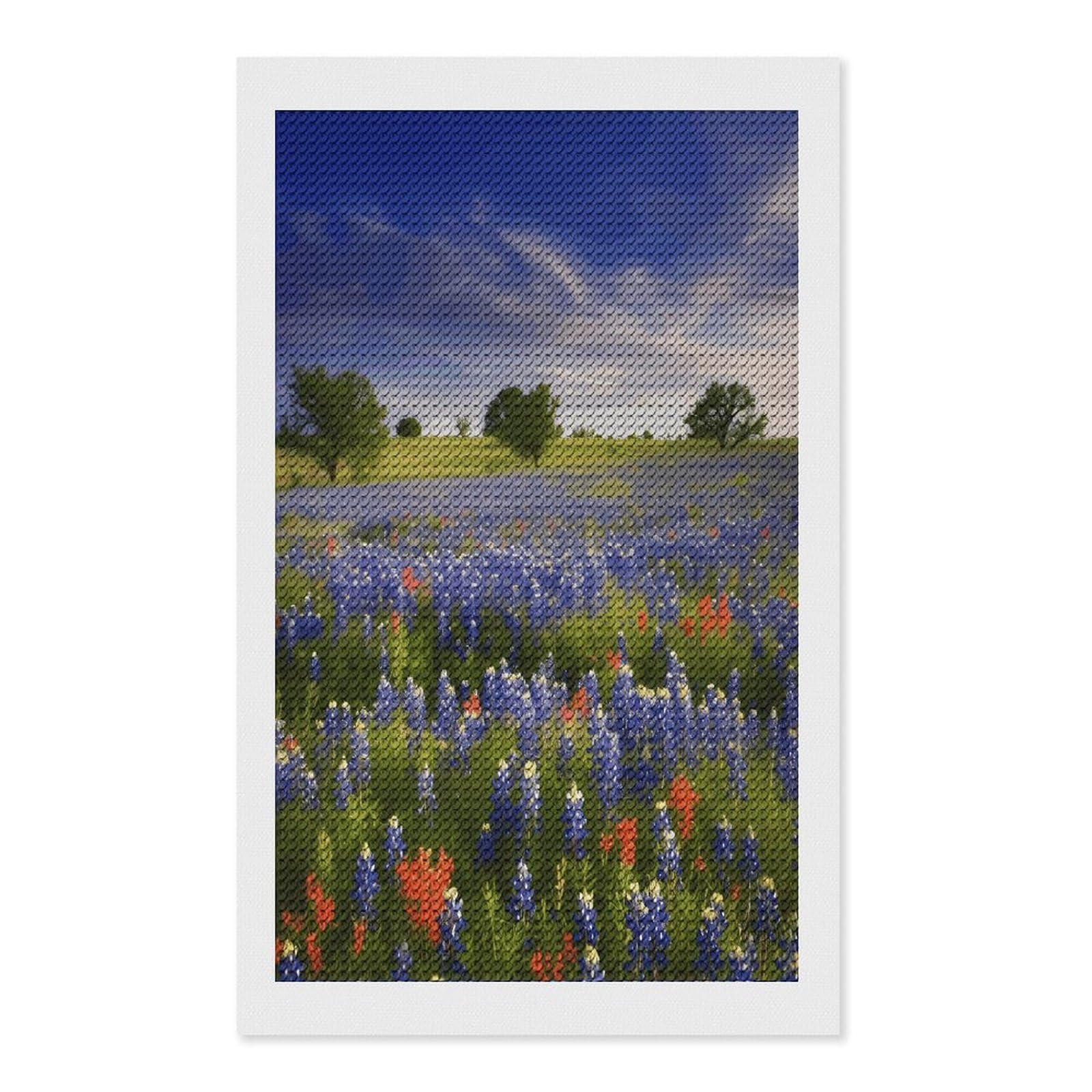 FekiLoot Texas Bluebonnets Scenery Paint by Numbers Kit for Adults Beginner DIY Diamond Dots Paintings Round Full Drill Diamond Art Kits Picture Diamond Art Painting Kits for Home Decor 12"x20"