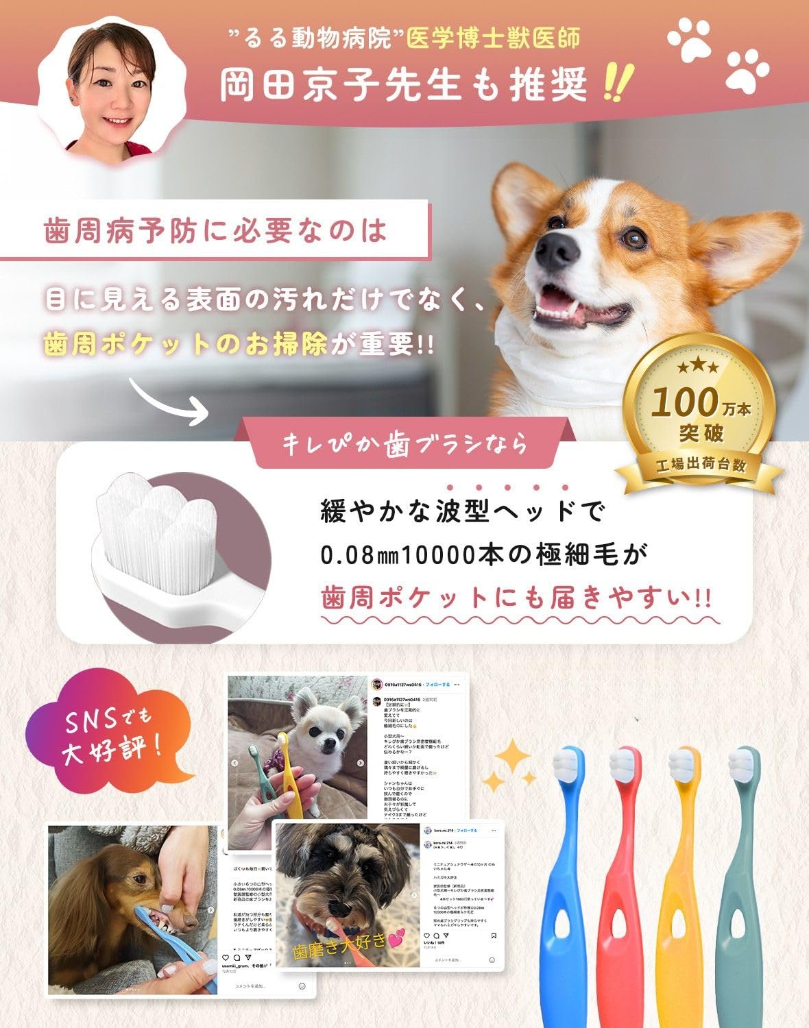 Amazon.co.jp: 犬 歯ブラシ はぶらし 小型犬 『キレぴか歯ブラシ』4本