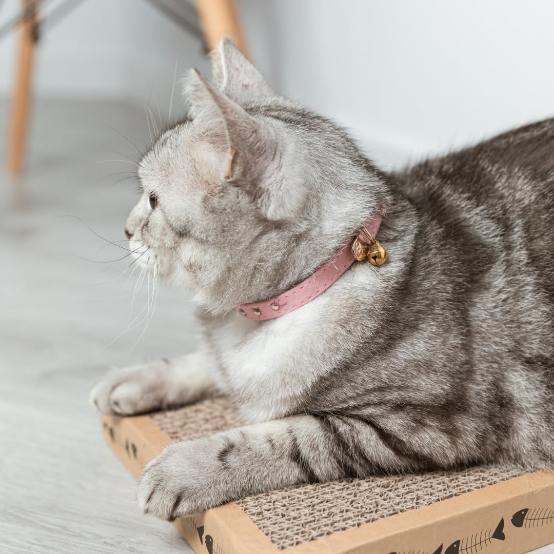 Katzenhalsband, Samt mit goldenen Messingelementen, Quantenenergie & Heilfrequenzen, blau, für Katzen