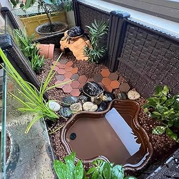 Amazon | 亀の飼育ケージ リクガメ オープンガラスケージ カメ用