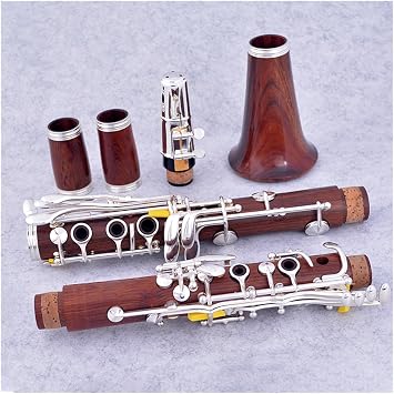 BeginnerWood Professional Clarinet 18 Keys Bb Rosewood Silvering Keys Clarinet for Beginner