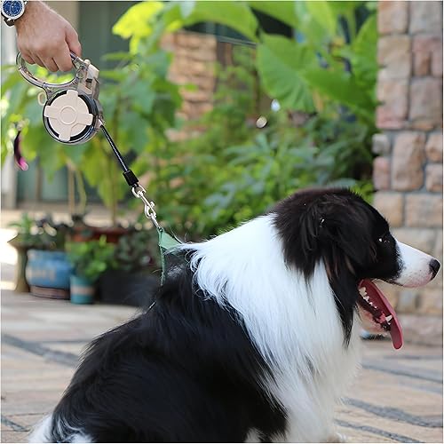 Miniatura 6 de Correa retráctil para perro de 16 pies sin enredos con freno con una sola mano, cinta de nailon fuerte y carcasa transparente para perros pequeños y