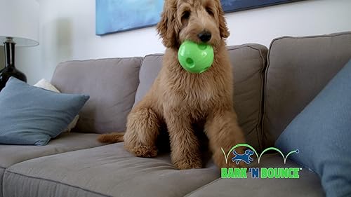Miniatura 9 de Bark N Bounce La pelota interactiva de juguete para perros que rebota y ríe, involucrando los instintos naturales de tu perro  SM 3.75 pulgadas