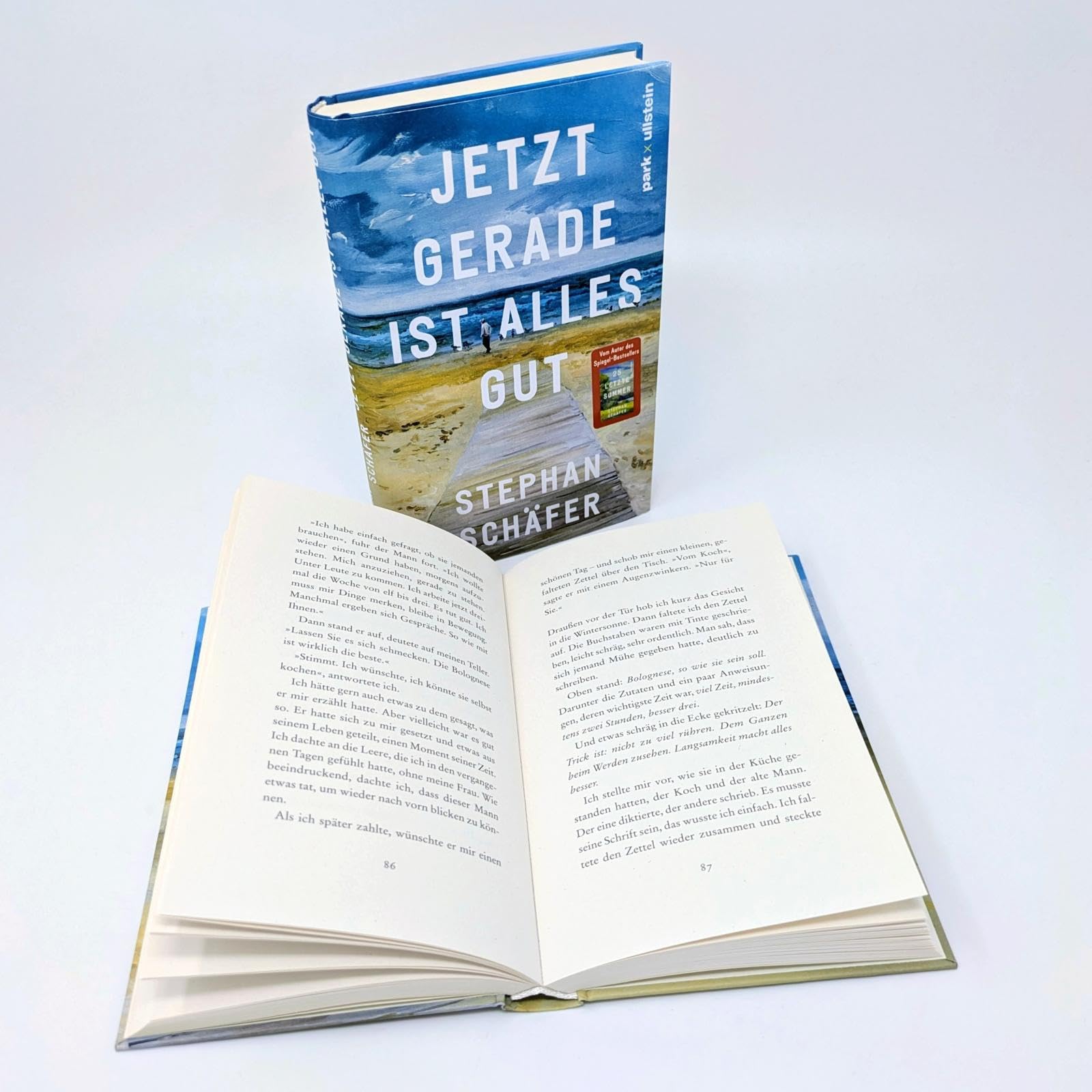 Jetzt gerade ist alles gut: Nach dem SPIEGEL-Bestseller "25 letzte Sommer" - der neue Roman von Erfolgsautor Stephan Schäfer