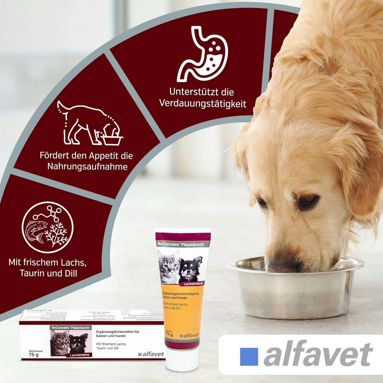 Alfavet ReConvales Päppelpaste - Crema de salmón - Pienso complementario para Perros pequeños y Gatos - 3 x 75g