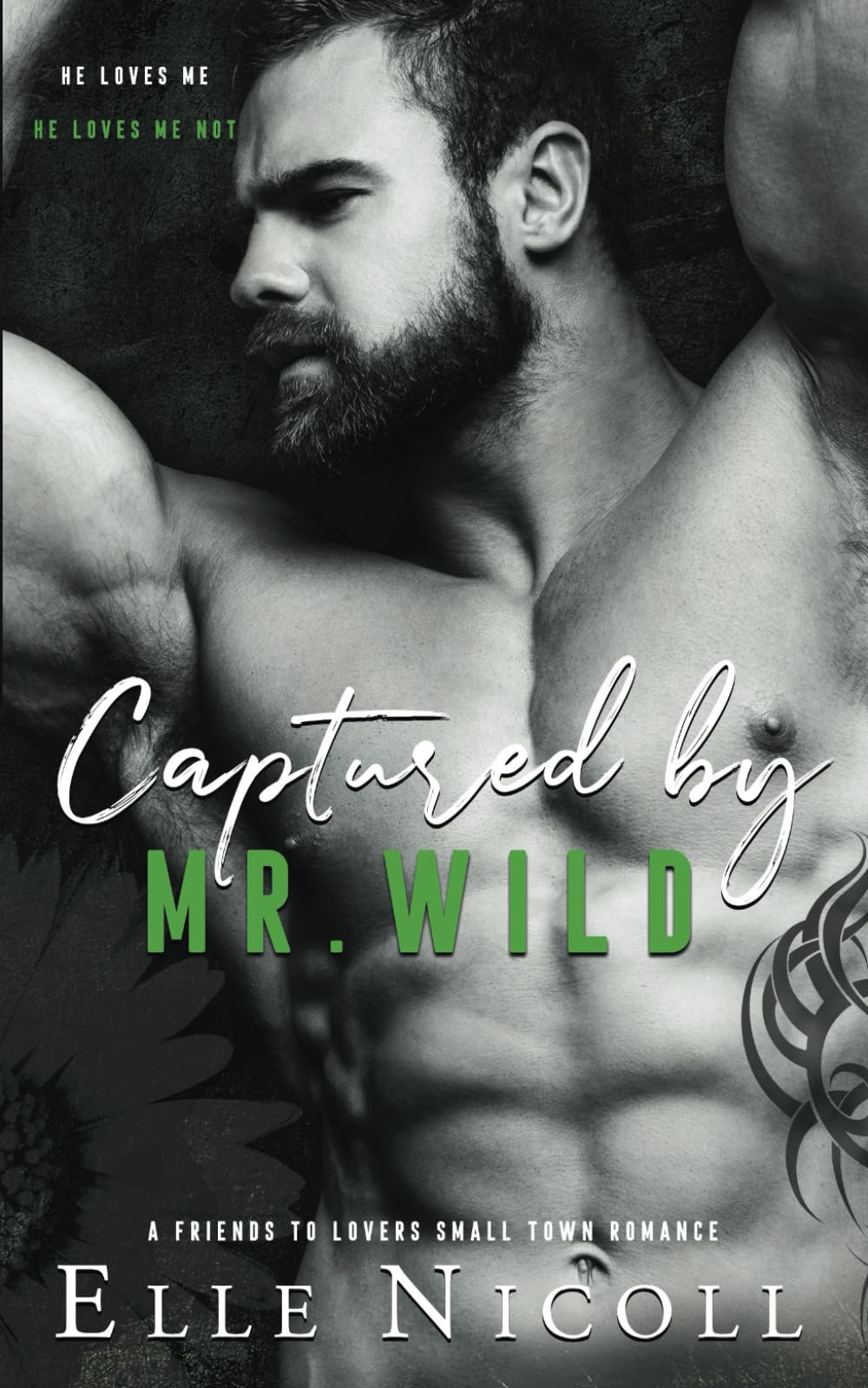 Captured by Mr. Wild: 4 (The Men Series - Interconnected Standalone Romances)