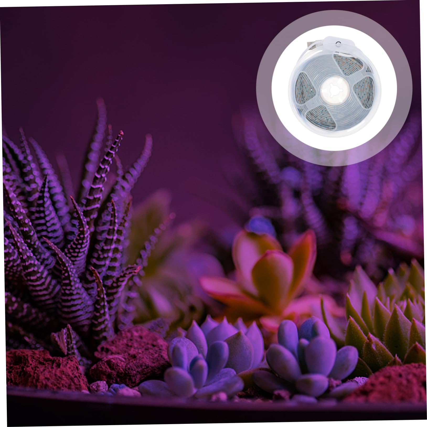 Toyvian Bandes Lumineuses LED USB Croissance des Plantes Spectre Complet, Plastique Solide, Ip33 Étanche, pour Plantes D'intérieur et Jardiniers