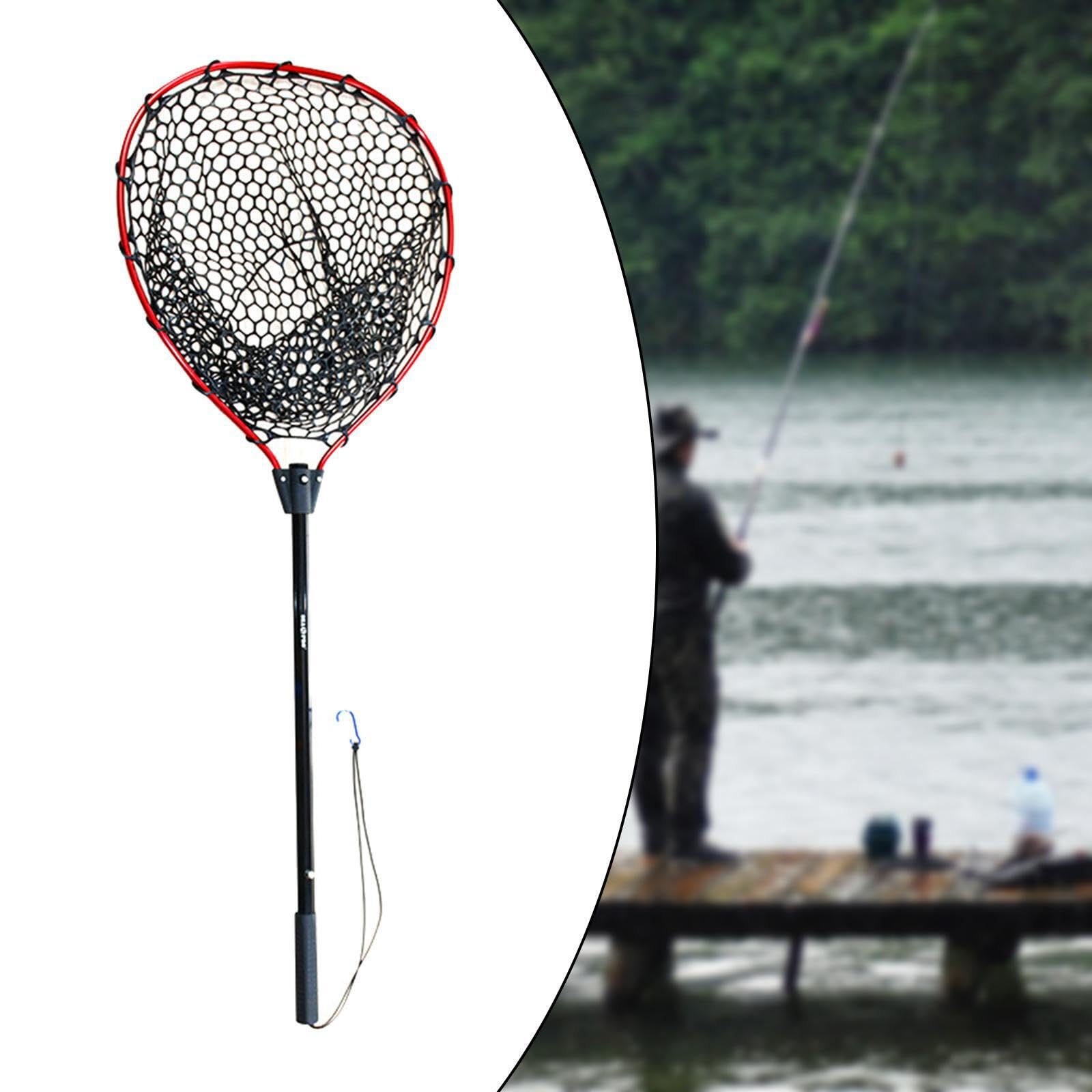 Épuisette télescopique rétractable pour la pêche au Saumon, au Bar et Poisson-Chat. Facile à grâce à Son système de Pliage et sa Conception